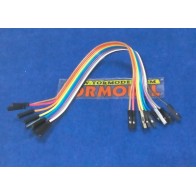 Cable Pin Hembra - Hembra 20cm.