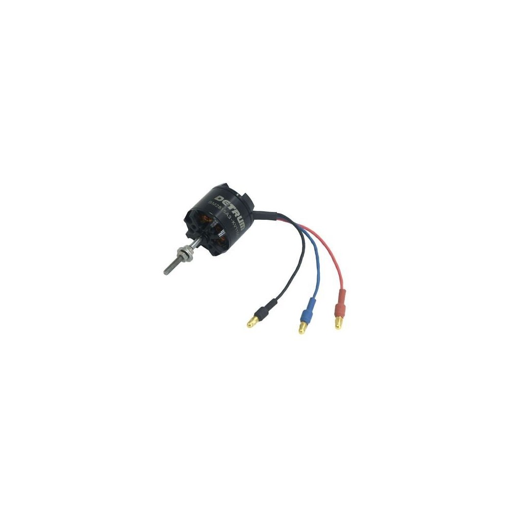 Motor Detrum BM2815A - 1100Kw