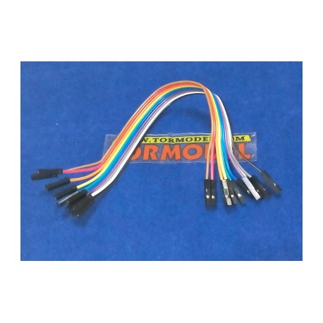 Cable Pin Hembra - Hembra 20cm.