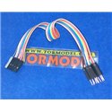 Contrachapado de Tilo 450x300x2mm