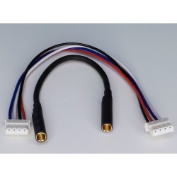 Cable Adaptador HP-EOSLBA10-MSC